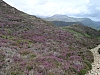 Thumbnail of P6302629.jpg