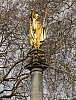 Thumbnail of P3186668.jpg