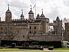 Thumbnail of P3186753.jpg